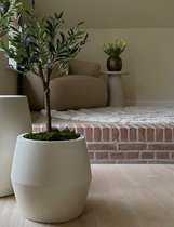 Set plantenpotten Essence rond junglegroen - Gratis thuisbezorgd - De