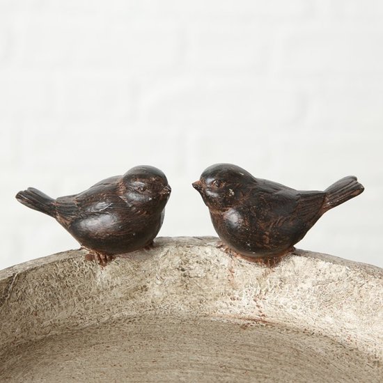 Twee donkerbruine vogeltjes kijken elkaar aan, zittend op een betonnen rand.