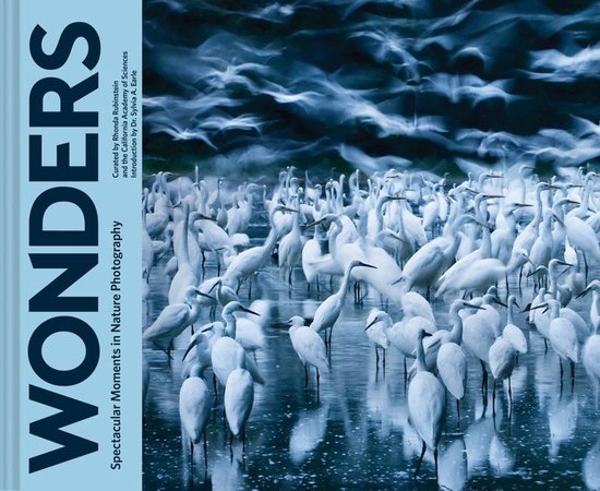 Wonders - cover