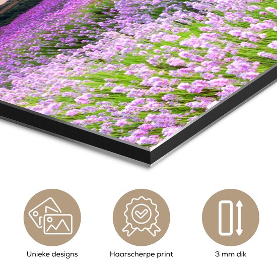 Décoration murale Métal - Aluminium Peinture Industrielle - Lavande - Fleurs - Coucher de soleil - Violet - Prairie - 120x60 cm - Dibond - Photo sur aluminium - Décoration murale industrielle - Pour le salon / chambre