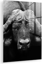 Peinture sur verre - Photo sur verre - Verre acrylique - Animaux - Buffalo - Zwart - Wit - Décoration murale animaux - 90x120 cm - Salon - Décoration de chambre - Décoration murale