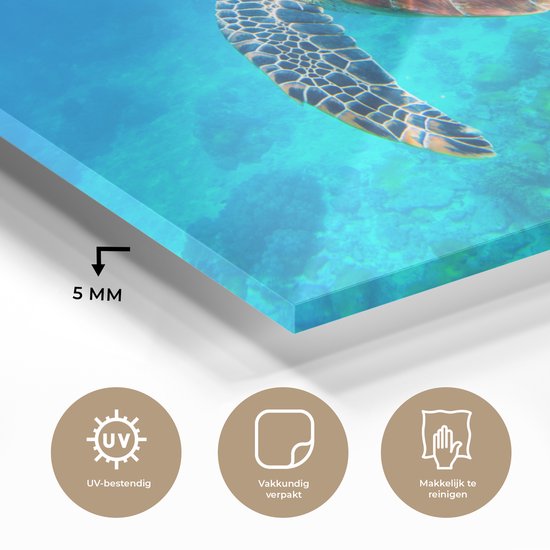 MuchoWow® Peinture sur Verre - Tortue - Mer - Blauw - 180x120 cm - Peintures sur Verre Acrylique - Photo sur Glas