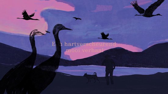 De kraanvogels vliegen naar het zuiden