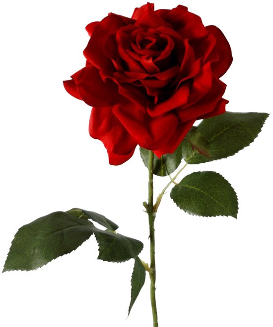 Roos Rood Viv! Home Luxuries Roos - zijden bloem - rood - 65cm | bol