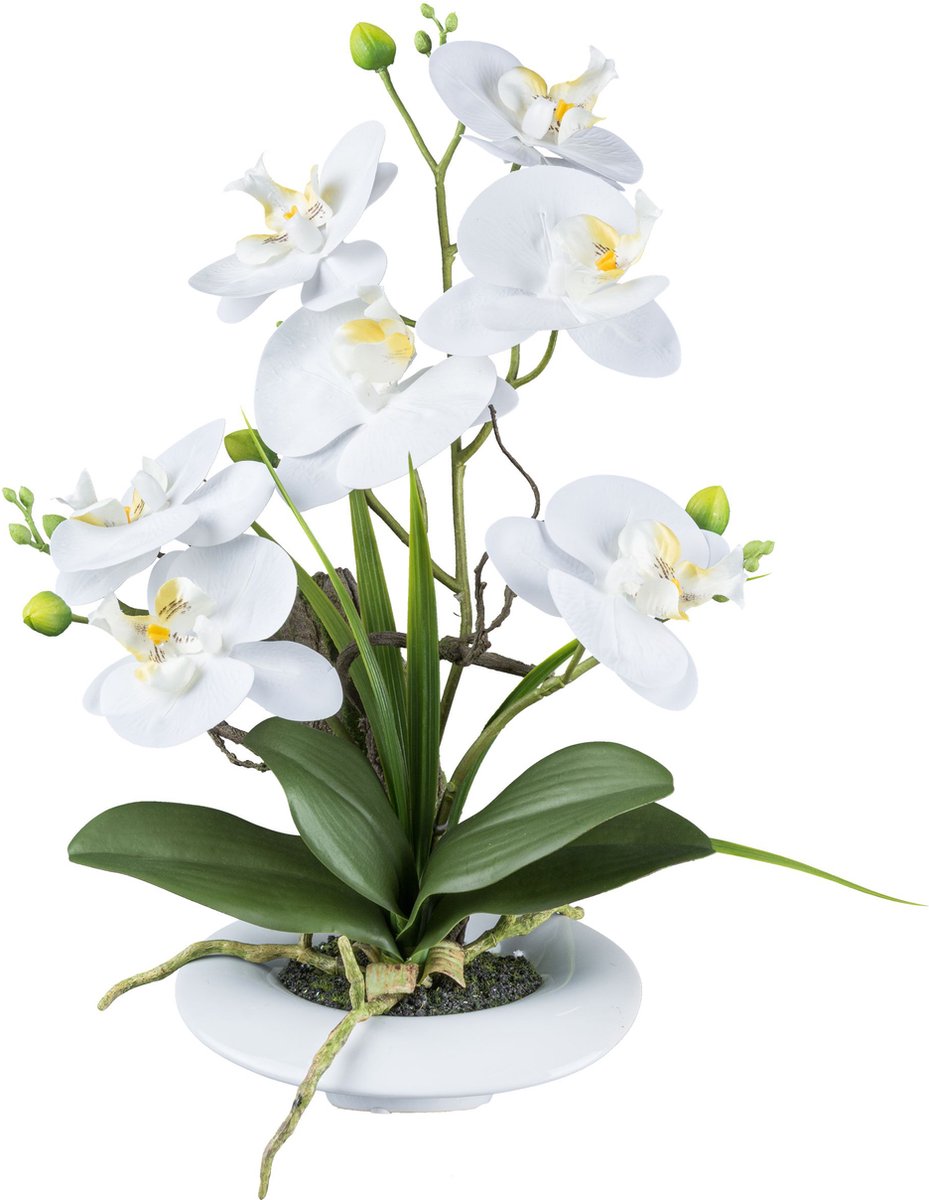 Kopu Kunstbloem Orchidee 41 cm Wit met Bloemschaal - Phalaenopsis paars
