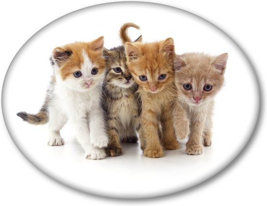 Coussin Sierkussen 40x40cm Polyester