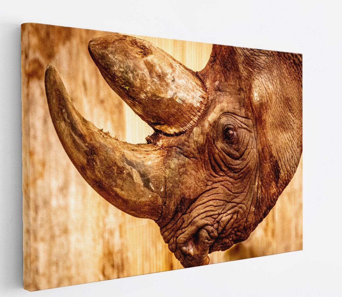 Saammp Canvas Schilderij - Neushoorn - Natuur - Dieren - 50x40 - Foto op canvas - Wanddecoratie - Muurdecoratie Woonkamer - Slaapkamer decoratie - Canvas Print Multicolor