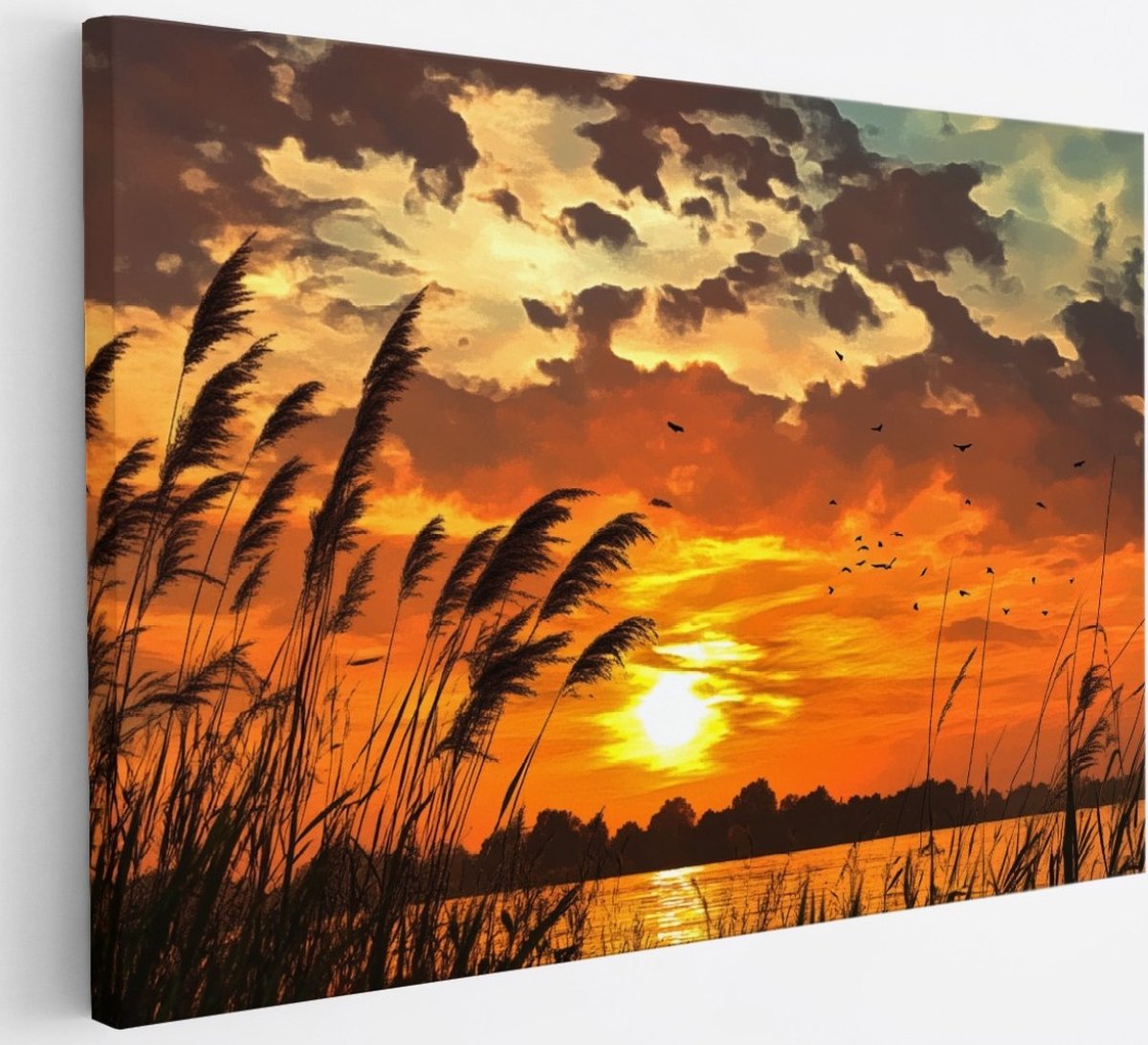 Saammp Canvas Schilderij - Zonsondergang - Planten - Nederland - Natuur - Landschap - 30x20 - Foto op canvas - Wanddecoratie - Muurdecoratie Woonkamer - Slaapkamer decoratie - Canvas Print Multicolor