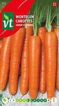 Carottes Senior F1 hybride