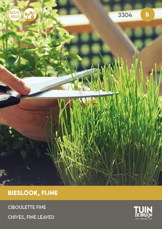 Tuin de Bruijn® zaden - Bieslook, fijn