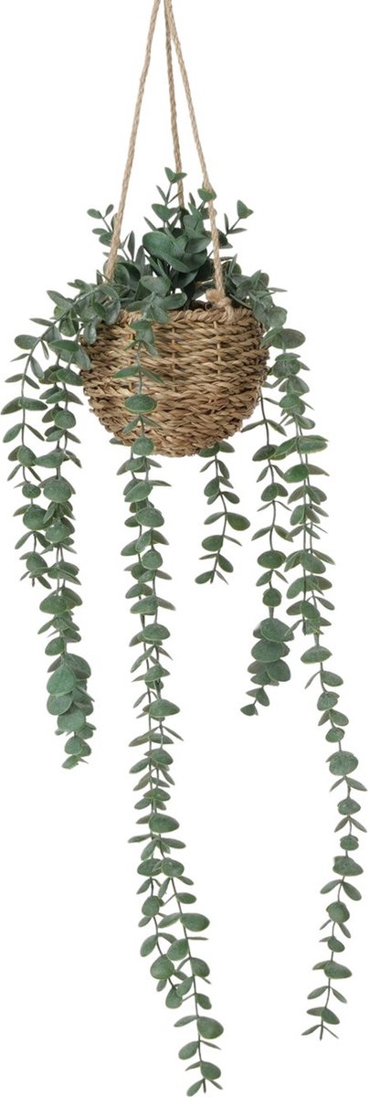 Boltze Home hangplant Eucalyptus groen