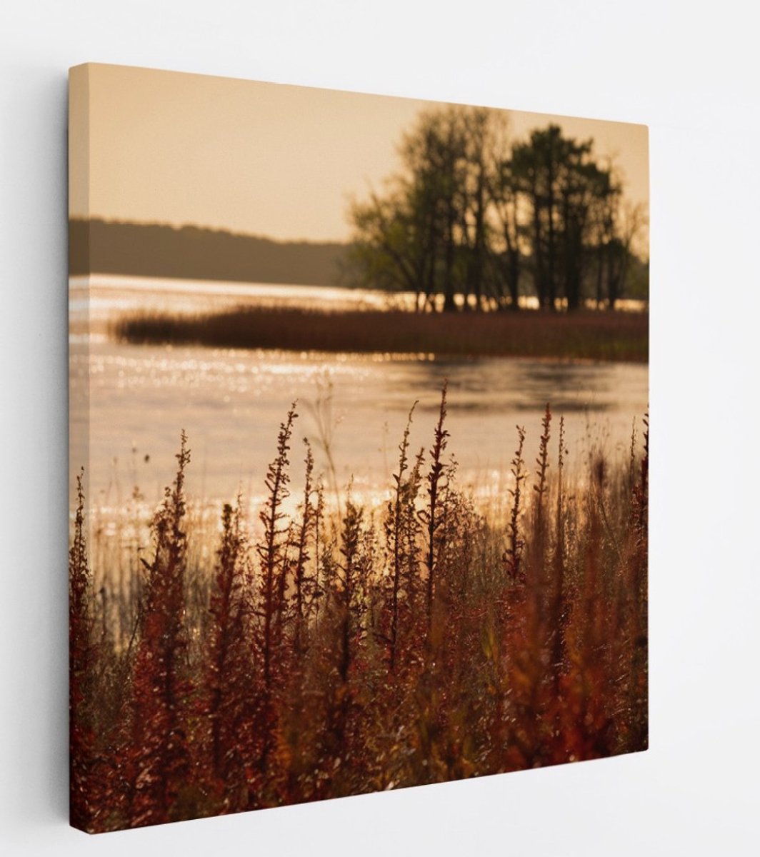 Saammp Canvas Schilderij - Water - botanisch - Landschap - Natuur - 60x60 - Foto op canvas - Wanddecoratie - Muurdecoratie Woonkamer - Slaapkamer decoratie - Canvas Print Multicolor