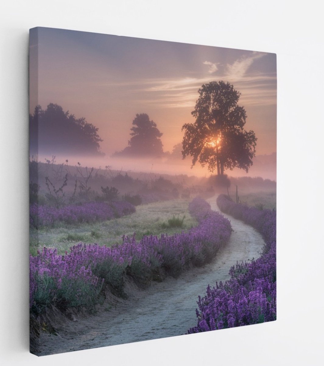 Saammp Canvas Schilderij - Lavendelveld met mist - Natuur - Landschap - 60x60 - Foto op canvas - Wanddecoratie - Muurdecoratie Woonkamer - Slaapkamer decoratie - Canvas Print Multicolor