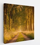 100 cm x 100 cm
