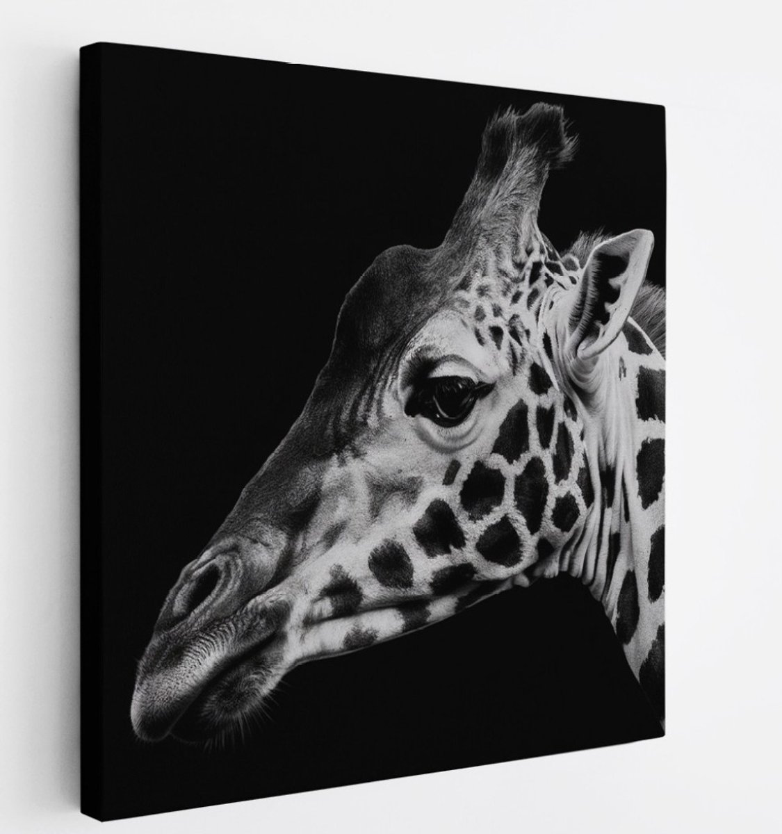 Saammp Canvas Schilderij - Giraffe - Natuur - Dieren - 20x20 - Foto op canvas - Wanddecoratie - Muurdecoratie Woonkamer - Slaapkamer decoratie - Canvas Print Multicolor