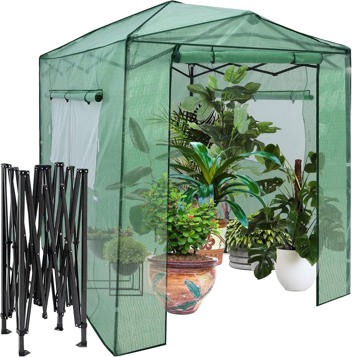COSTWAY Broeikas foliekas, 180 x 250 x 230 cm, broeikas met oprolbare deur en 2 ramen, tomatenhuis met PE roosterfolie, plantenhuis tomaten, folietent, groen