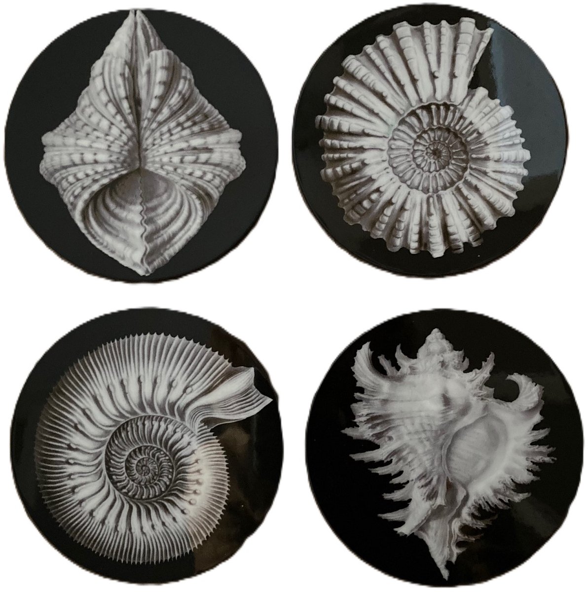 Set van VIER ronde Onderzetters voor glas - schelpen - Zwart Wit