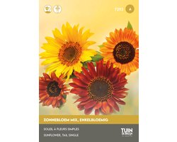 Hoge Zonnebloem Zaden Mix – Bloemen om Zelf te Zaaien – Zomerbloemen voor Border of Balkon – Ca. 50 Zaden - Tuin de Bruijn® zaden