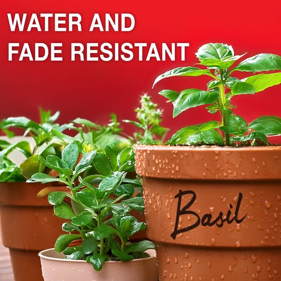 Een close-up van drie plantenpotten met "Basil" geschreven op de middelste pot. Waterdruppels op de potten.