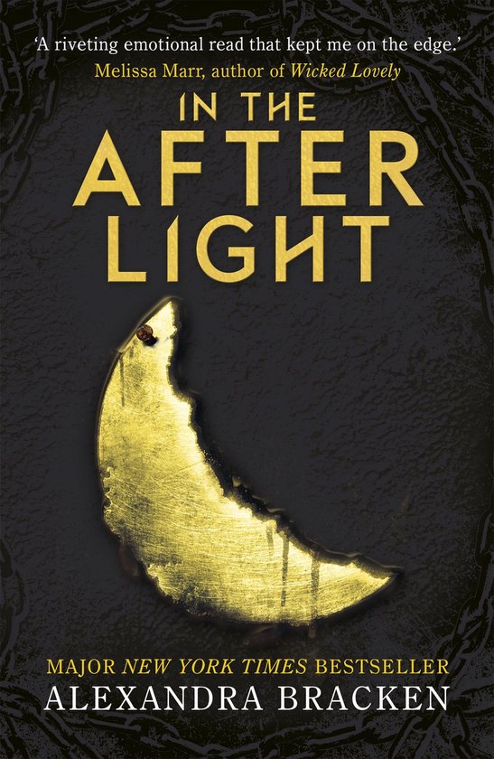 A Darkest Minds Novel 3 - In the Afterlight - cover