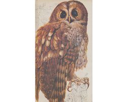 Het Beste Vogelboek