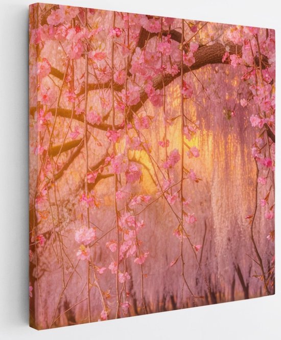 Saammp Canvas Schilderij - Roze bloesem met zonsondergang - Natuur - Landschap - 30x30 - Foto op canvas - Wanddecoratie - Muurdecoratie Woonkamer - Slaapkamer decoratie - Canvas Print