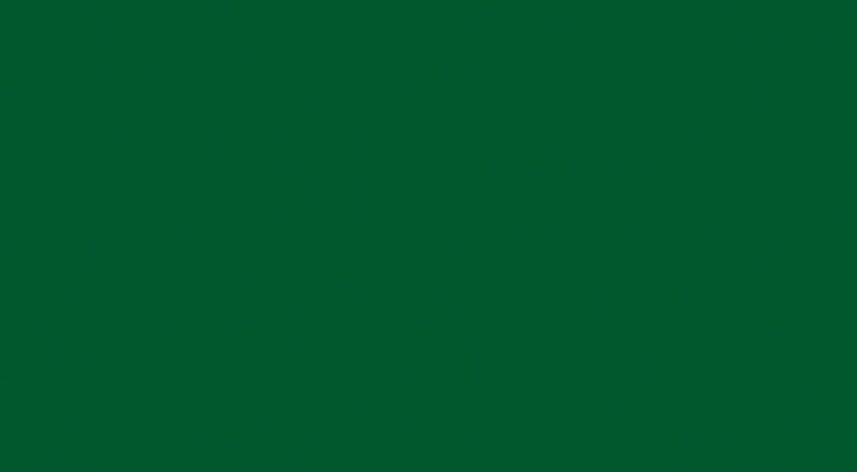 2LIF Chalkboard Zelfklevende Folie Mini rol groen 67,5cmx1,5mtr