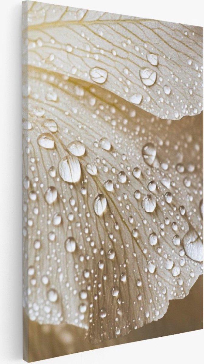 Saammp Canvas Schilderij - Natte Bladeren - Abstract - 60x90 - Foto op canvas - Wanddecoratie - Muurdecoratie Woonkamer - Slaapkamer decoratie - Canvas Print Multicolor