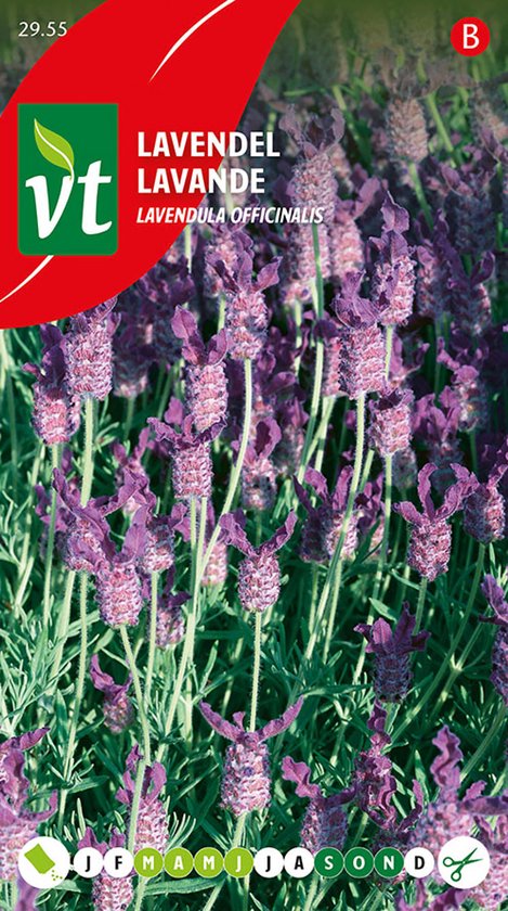 Lavendel Zaden - Aromatisch Kruid voor Tuin en Decoratieve Bloei