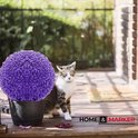 Paarse sierbal van kunstplantjes in een zwarte pot op een houten terras, met een kat ernaast.