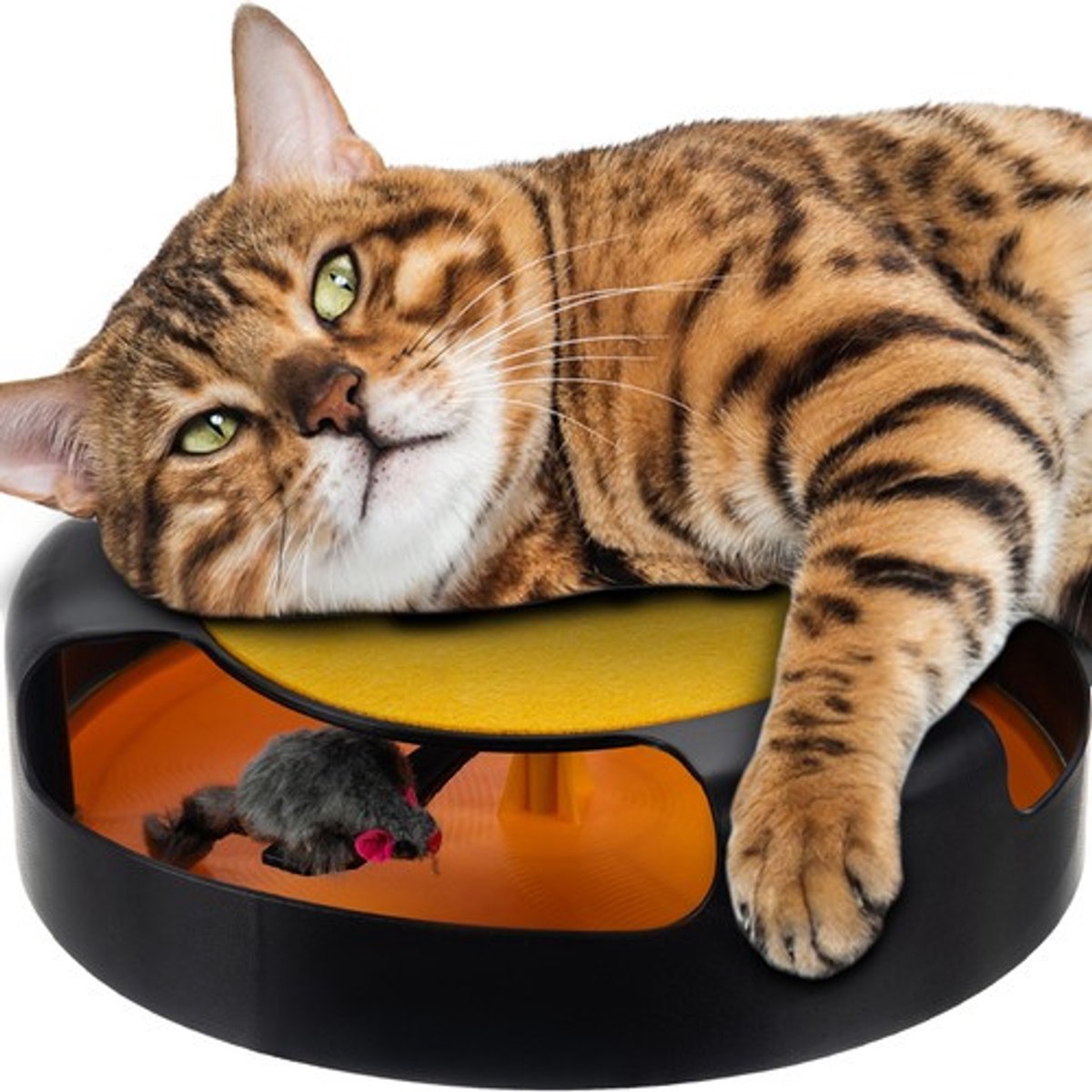 Kattenspeelgoed - kattenspeeltje - vang de muis