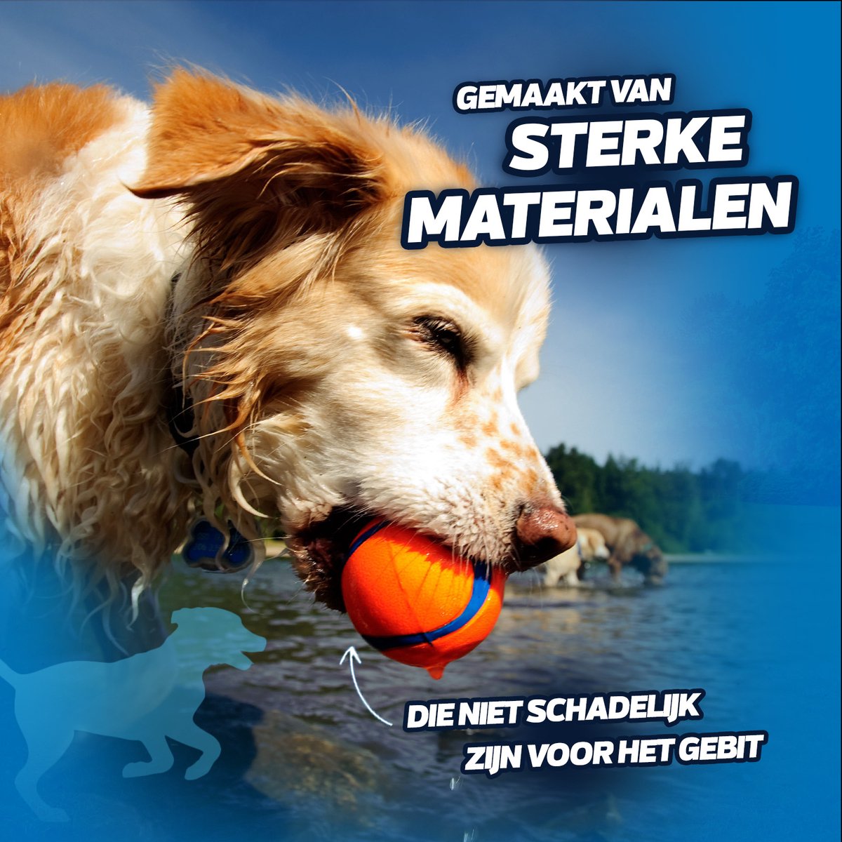 Hofman Animal Care Chuckit! Bucket 8 Ballen M Ø6cm thumbnail 5