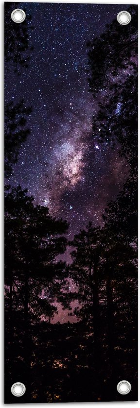Tuinposter – Heldere Galaxy Hemel tussen de Boomtoppen van het Bos - 20x60 cm Foto op Tuinposter (wanddecoratie voor buiten en binnen)