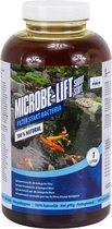 Microbe-Lift Super Start (bille) filtre bactéries 1L