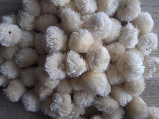 200 STUKS Mini Pompons Mix Kleur- 30 mm / 3 cm 200 STUKS Mini Pompons Mix Kleur- 30 mm / 3 cm