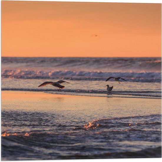 Vlag - Vliegende en Lopende Vogels in en Boven het Zeewater tijdens Zonsondergang - 50x50 cm Foto op Polyester Vlag