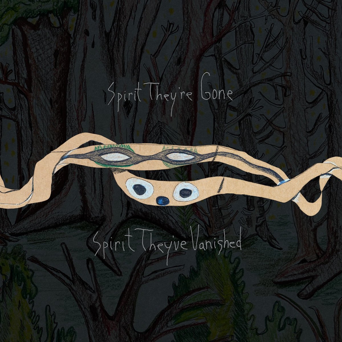 Animal Collective - Spirit They're Gone, Spirit They've Vanished (2Cd)