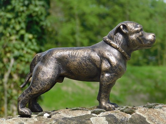 Foto: Beeld pitbull gietijzer brons look honden sculptuur