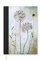 Fleurs - Oignon d'ornement - Nature morte - Plantes