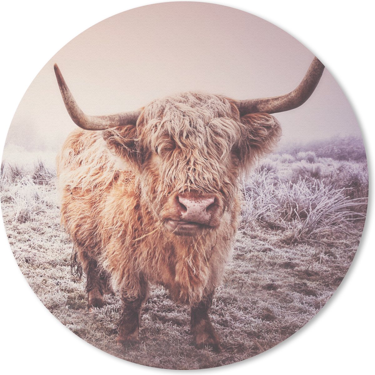 Muismat rond 30x30 cm - Mousepad Schotse hooglanders - Licht - Lucht - Natuur - Ronde muismatten
