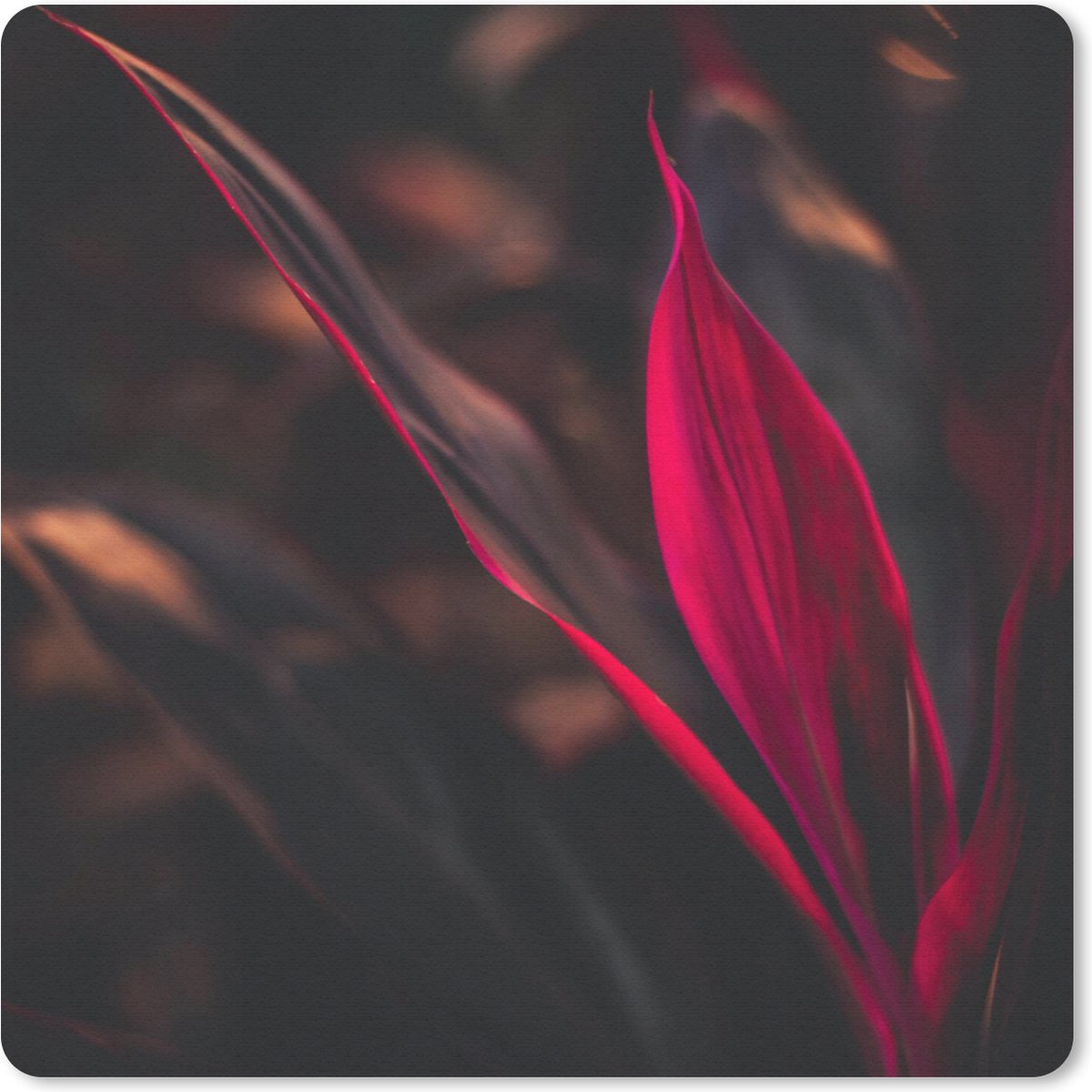 Muismat 30x30 cm - Mousepad Stilleven - Bladeren - Planten - Rood - Muismatten