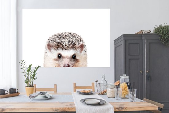 Affiche Hérisson - Animaux - Nature - Wit - 180x120 cm XXL