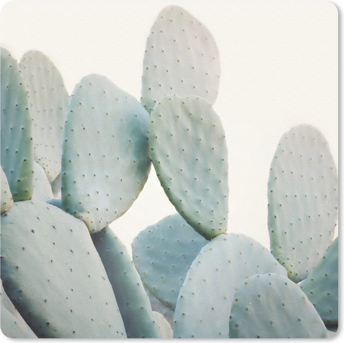 Muismat 20x20 cm - Mousepad Plant - Groen - Cactus - Natuur - Muismatten