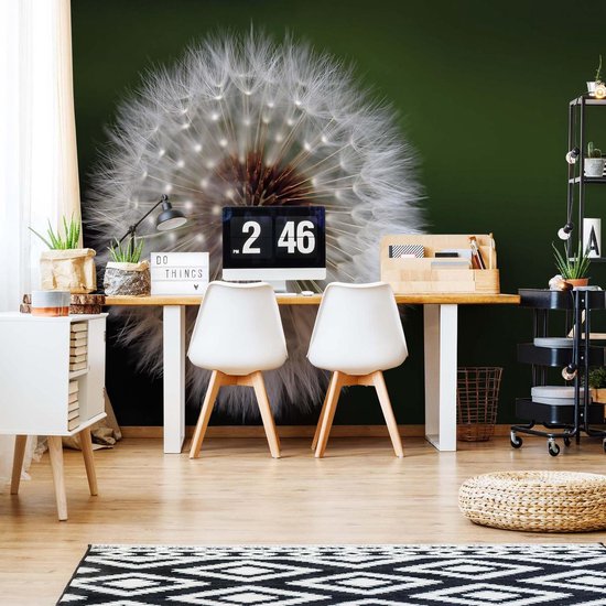 Papier peint photo Fleurs Pissenlit Nature | XXXL - 416 cm x 254 cm | Polaire 130g / m2