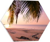 PVC Schuimplaat Hexagon - Zonsopgang achter Palmboom op het Strand - 40x34.8 cm Foto op Hexagon (Met Ophangsysteem)