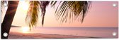 Tuinposter – Zonsopgang achter Palmboom op het Strand - 60x20 cm Foto op Tuinposter (wanddecoratie voor buiten en binnen)