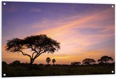 Tuinposter – Zonsopkomst achter Bomen tijdens Zonsopkomst in Murchison Falls, Uganda - 120x80 cm Foto op Tuinposter (wanddecoratie voor buiten en binnen)