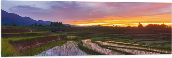 Vlag - Zonsondergang bij de Rijstvelden in Indonesië - 120x40 cm Foto op Polyester Vlag