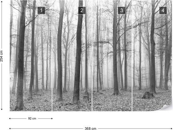 Papier peint Forêt brumeuse noir et blanc | V8 - 368 cm x 254 cm | Polaire 130gr / m2