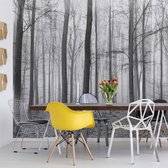 Papier peint Forêt brumeuse noir et blanc | VEA - 206 cm x 275 cm | Polaire 130gr / m2